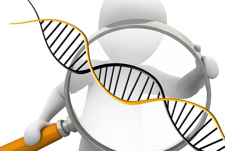 福州怀孕35天能办理孕期亲子鉴定吗,福州做无创怀孕亲子鉴定需要多少钱